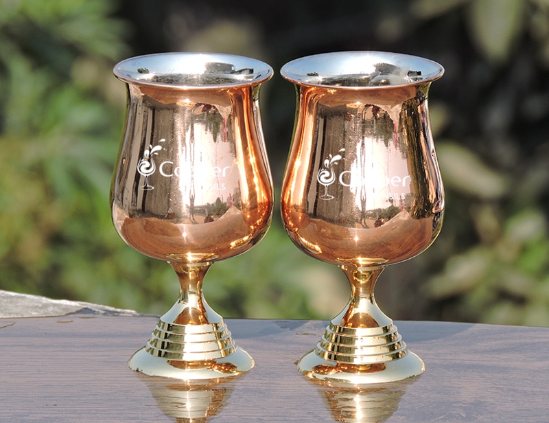 Copper Wine Glass Inside Stainless Steel & Brass Stand Fine Finish 6 Glass set 