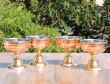 Copper and Stainless Steel Dessert Bowl Set
