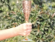 Intricately Designed Brass Champagne Glass With Copper Lining