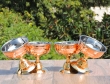 Copper and Stainless Steel Dessert Bowl Set