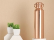 Copper Seamless Matte Finish Bottle with Carrying Handle