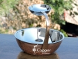 Copper Stainless Steel Snack Server with Attached Dip Bowl