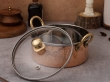 Copper  Stainless Steel Cookware Pot with Glass Lid with Golden Handles