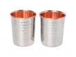 Set of 2 Outer Stainless Steel and Inner Pure Copper Tumbler For Ayurveda Health Benefits 250 Ml  Capacity Hammered Pattern