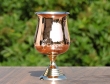 Stainless Steel Wine Glass with Outer Copper Coating