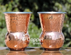 Set of Two Mughlai Style Hammered Copper and Steel Tumbler
